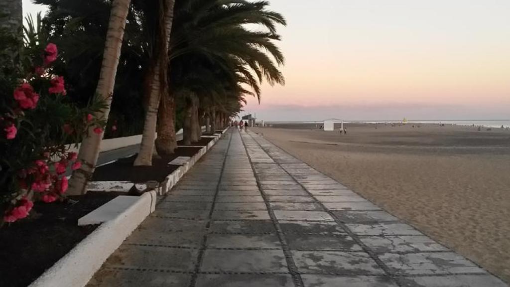 Jandia Attico Vista Oceano