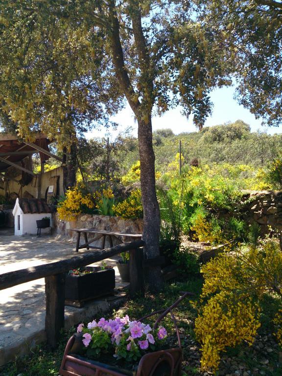 Casa rural Valdolázaro