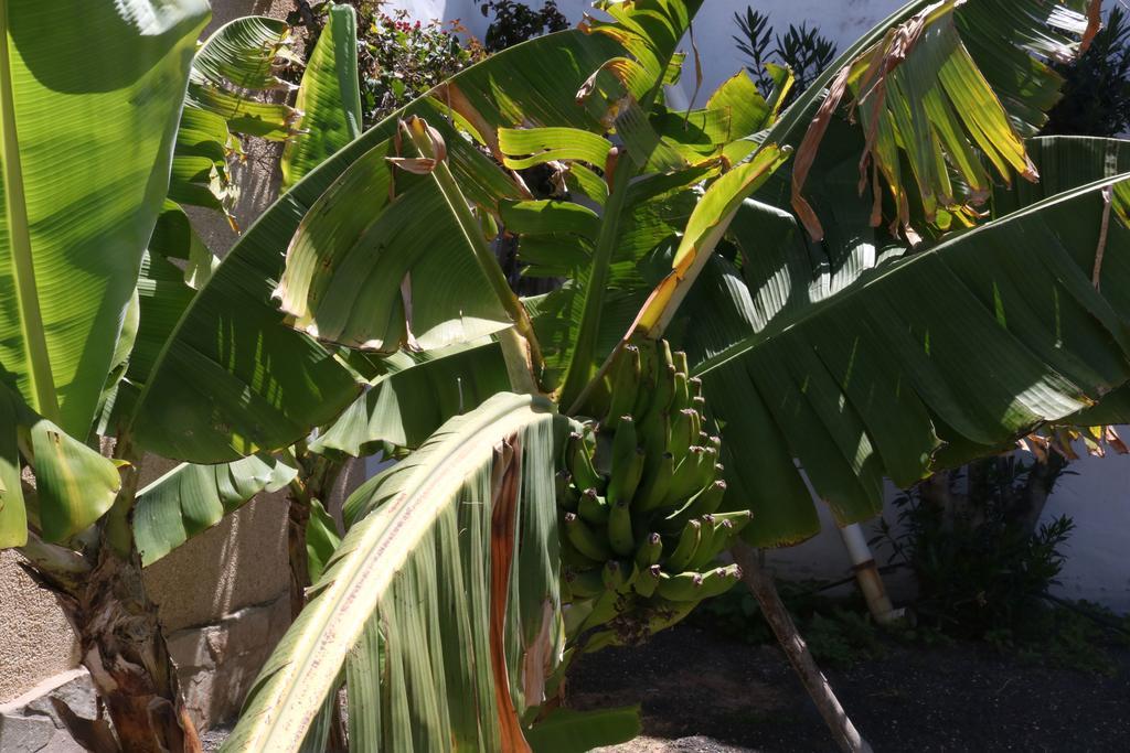 3c Fuerteventura Сasa de vacaciones