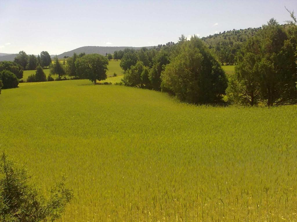 Country house Vivelorural *