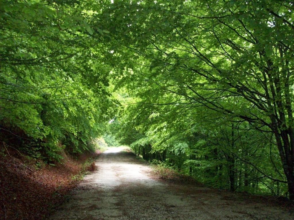 Rural Arrobi Borda