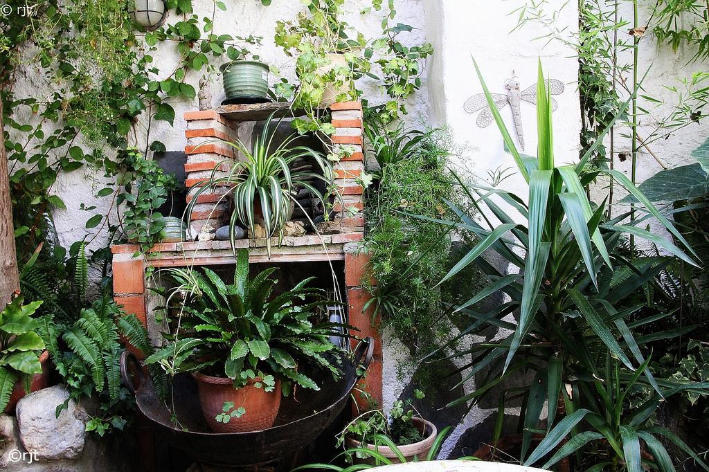 Casa Jazmin * Mondujar