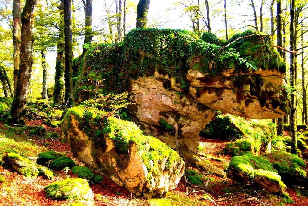 La Aldaia De Urbasa Holiday home *