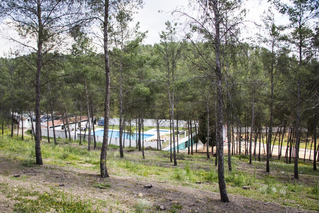 Centro De Ocio Alua Bungalows Camping Rafting Benameji Campsite Benameji