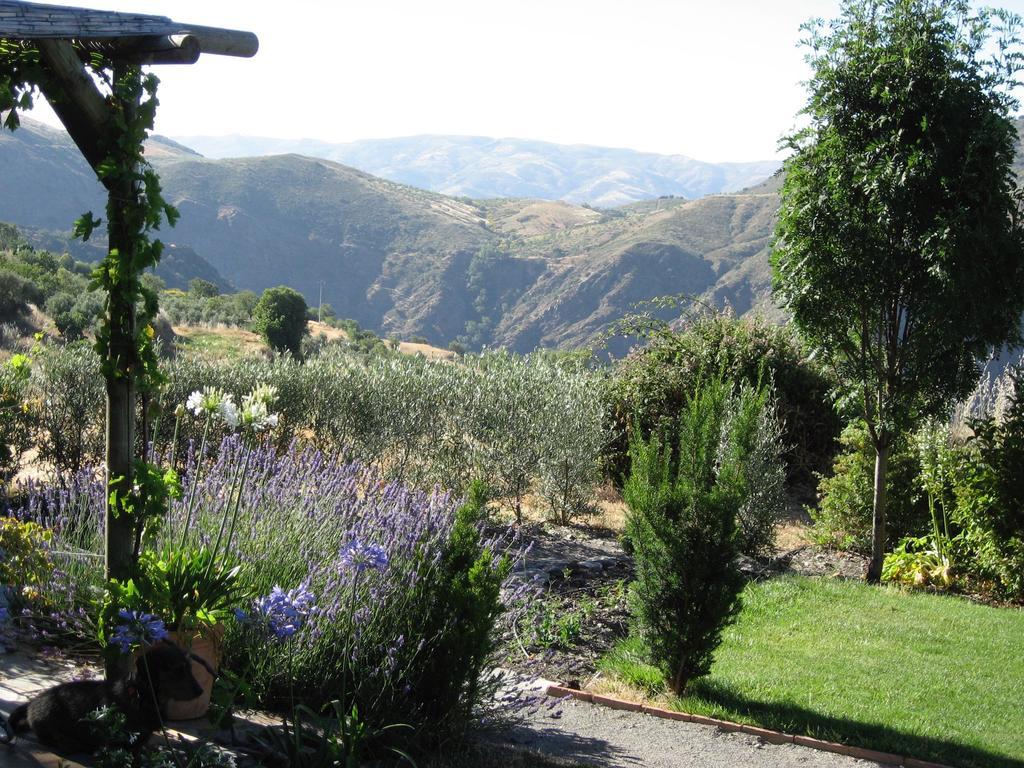 Cortijo Opazo * Portugos