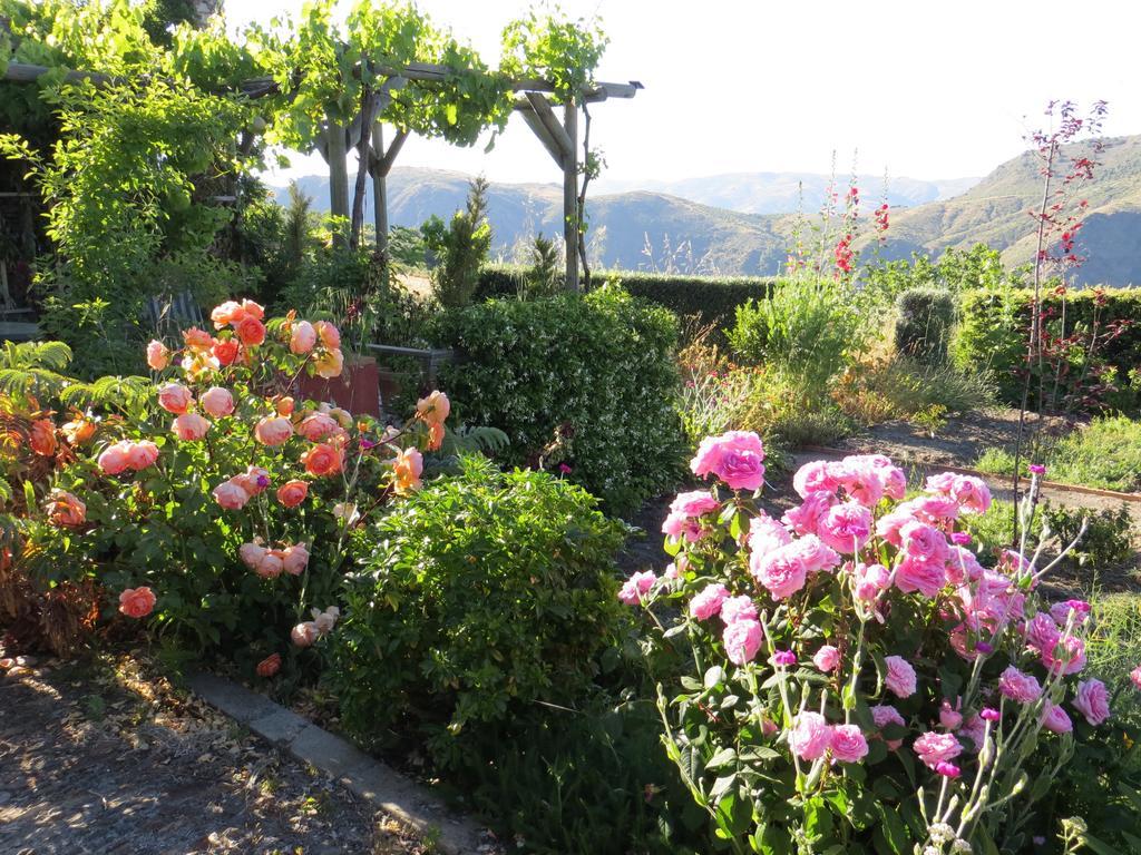 Holiday home Cortijo Opazo