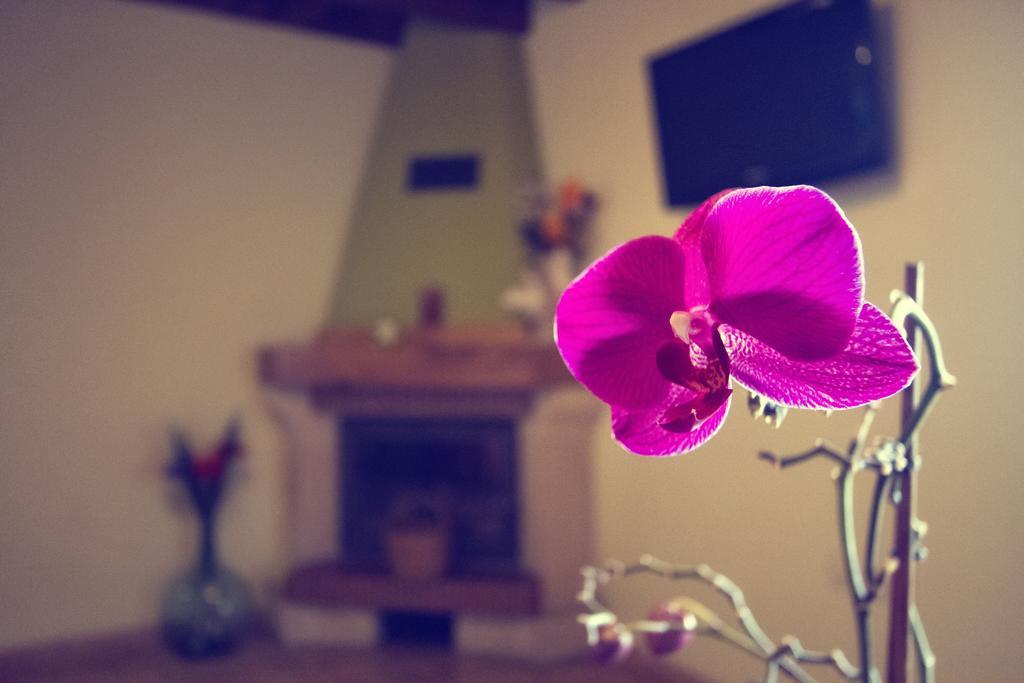 Casas Los Cantores Casa rural *