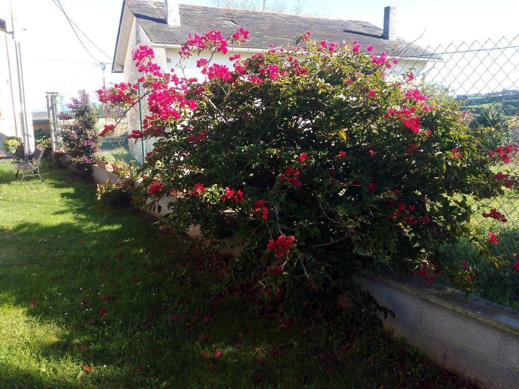Apartamento Rurales Casa Pachona