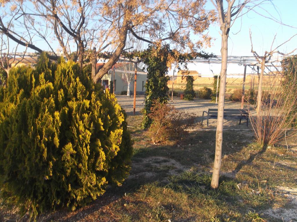 Albergue Cetina Hostal