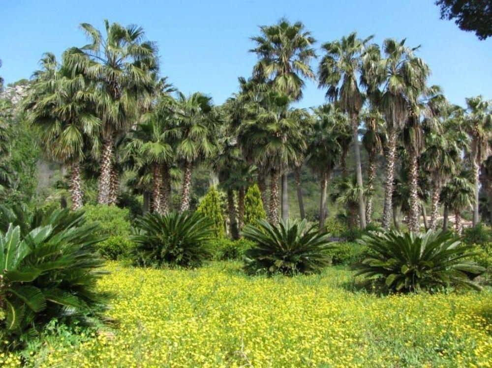 Ca N'ai - Adults Only 4* Soller