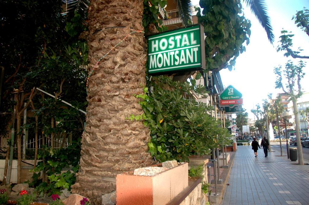 Montsant Guest house