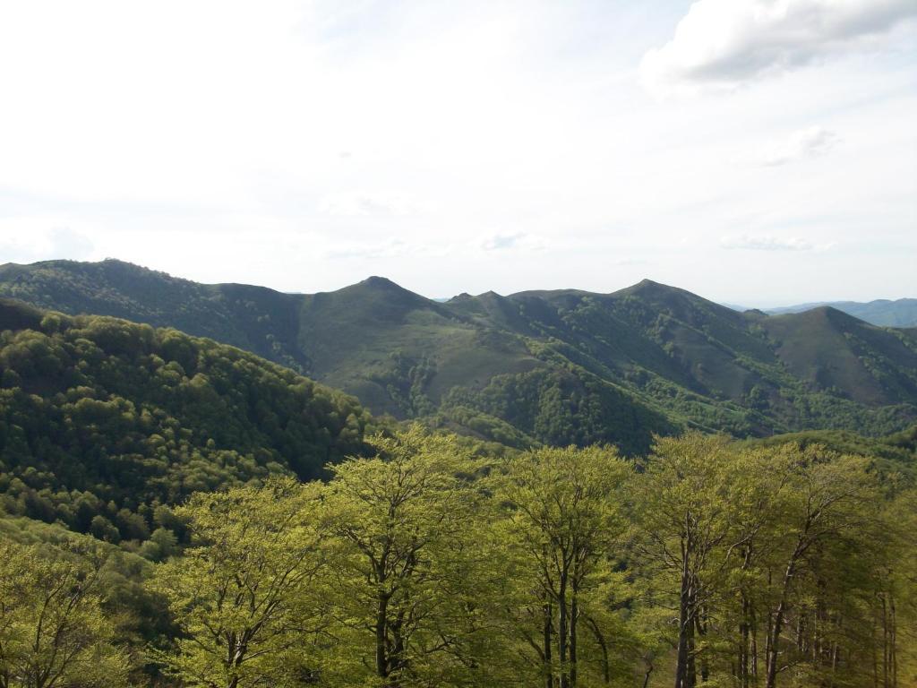 Rural Arrobi Borda