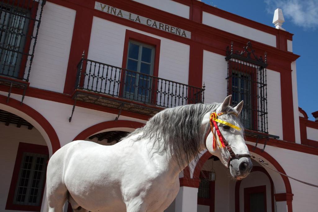 La Carrena Hotel