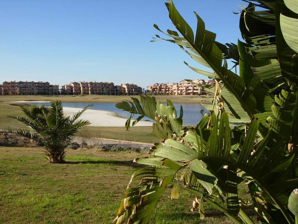 Coming - Mar Menor * Torre-Pacheco