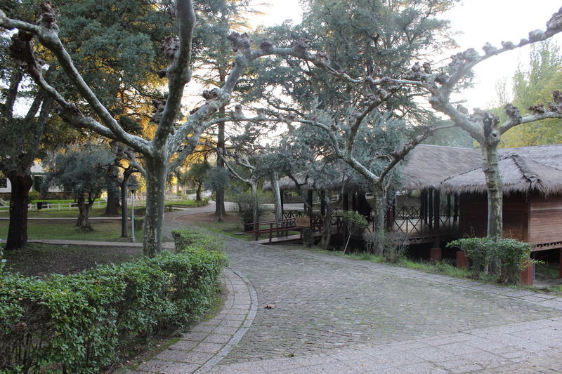 Hotel Rural Aldeaduero Salto de Saucelle
