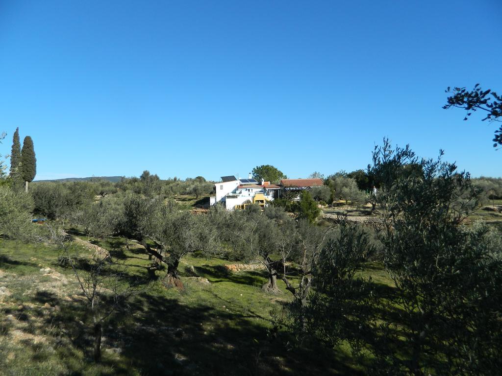 Campo de lujo Yurta Mongola Delta Del Ebro
