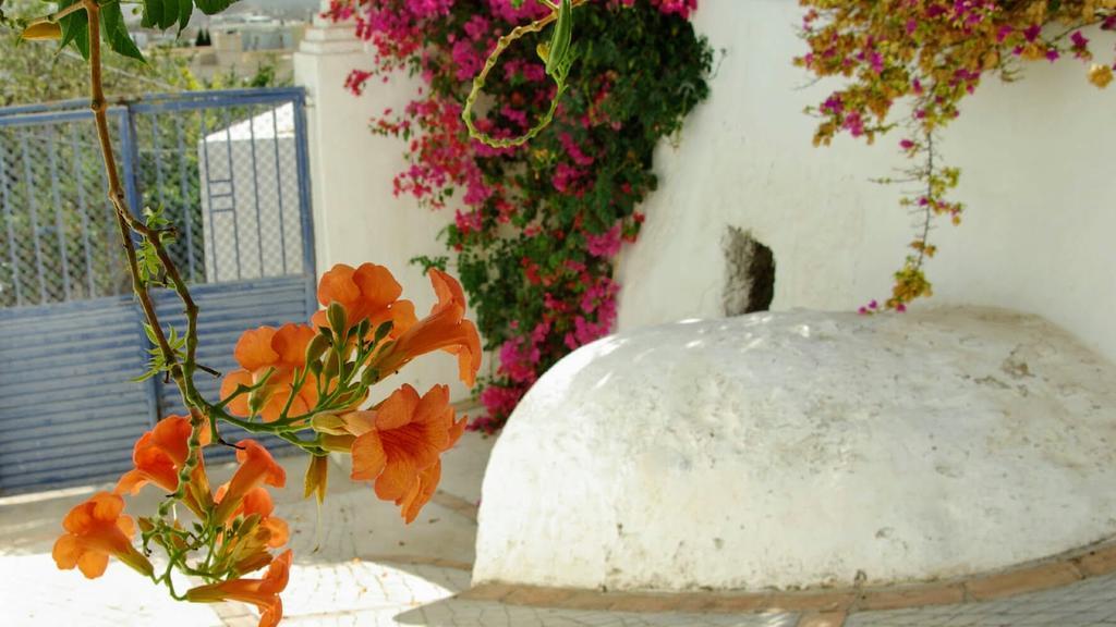 Cortijo El Grillo Holiday home Nijar