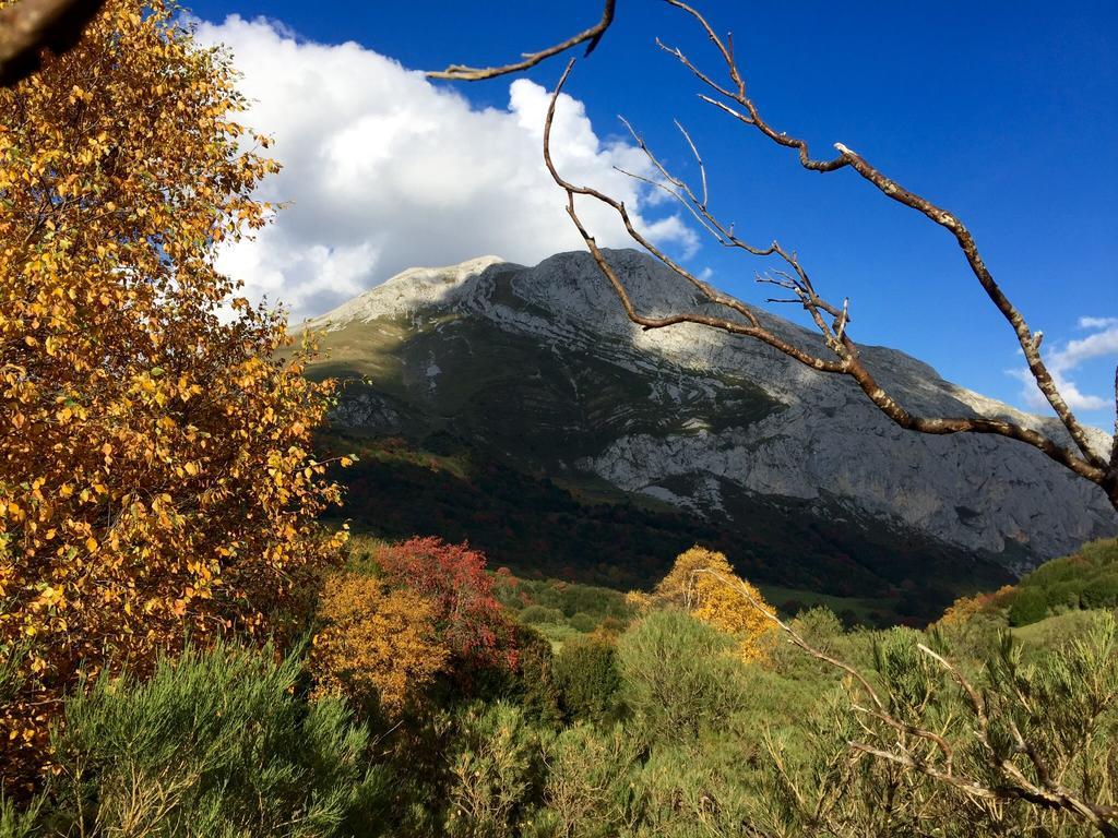 Prieto * Cortes (Asturias)