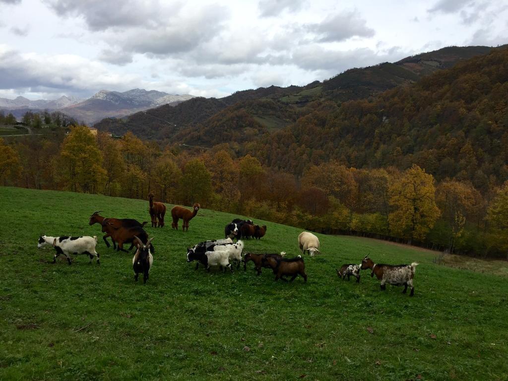 Prieto Cortes (Asturias)