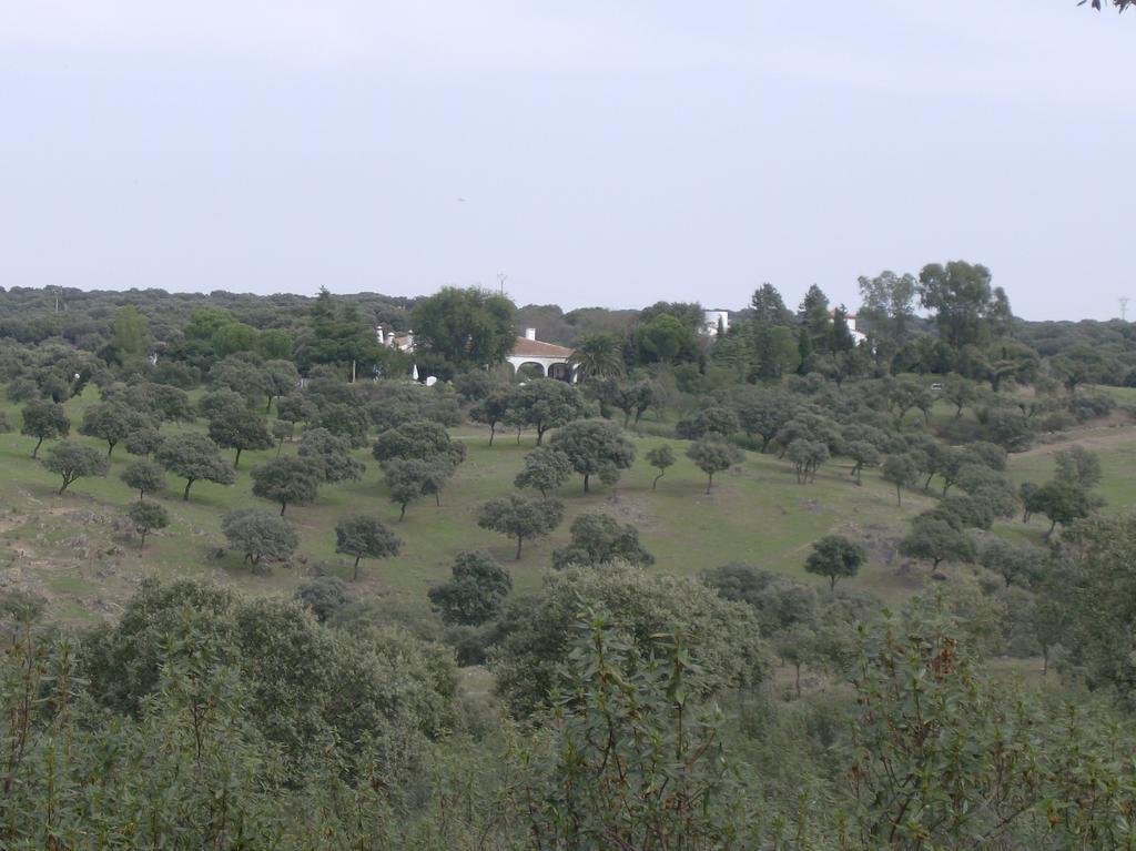 El Aleznal Trujillo