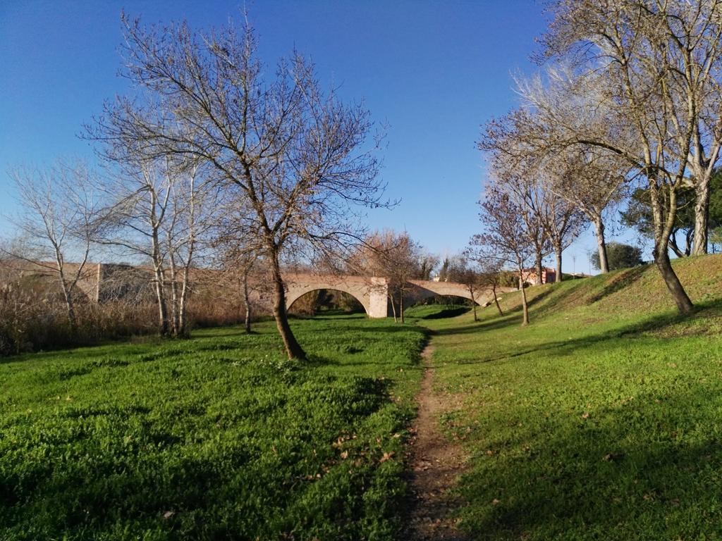 Newly Renovated Large With Garden * Castellón de Ampurias