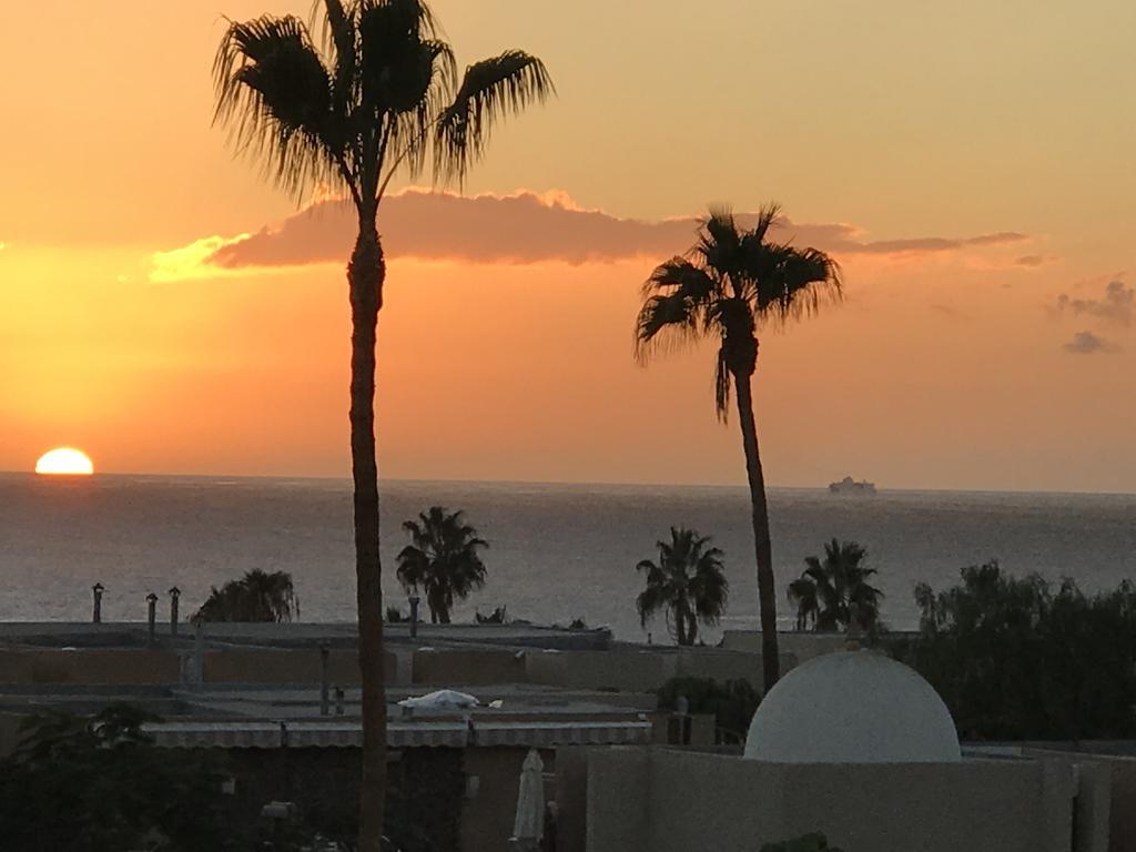In Tenerife Playa de las Americas (Tenerife)