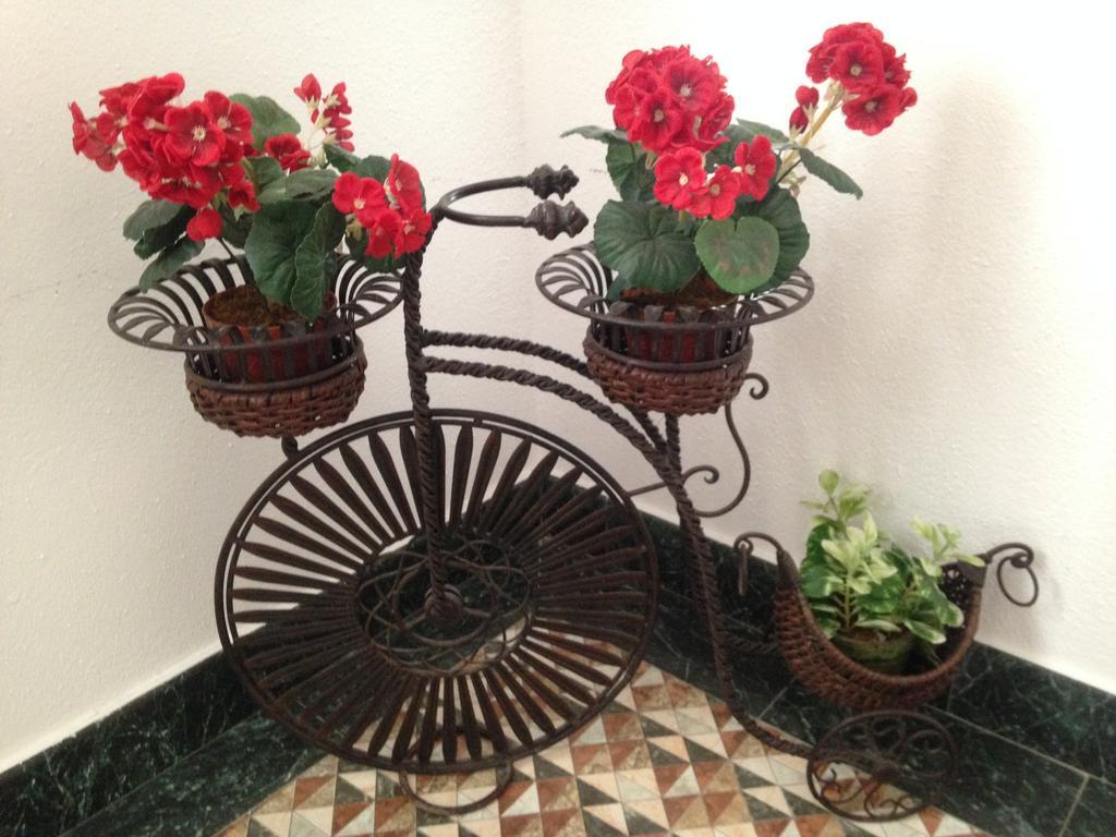Aranda Guest house
