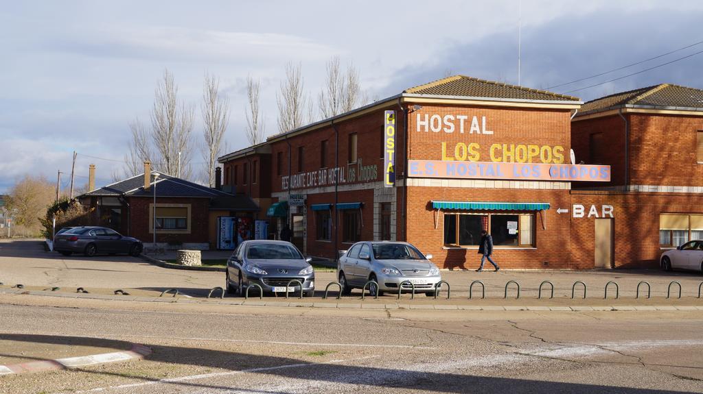 Chopos 2* Osorno
