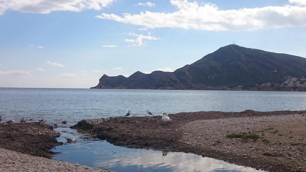Ventorrillo