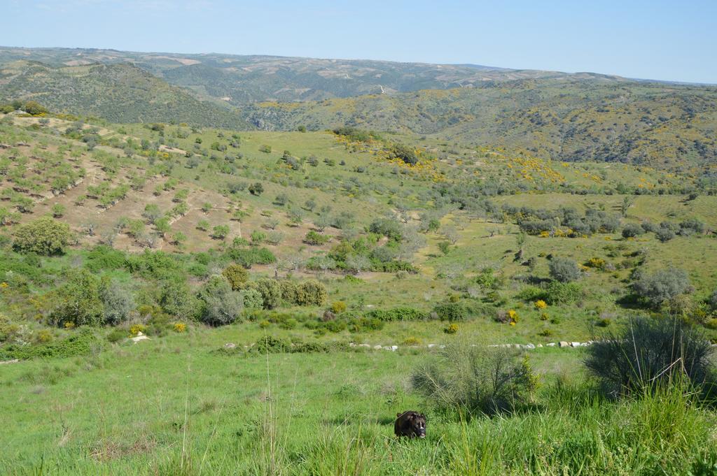 El Meson Fermoselle