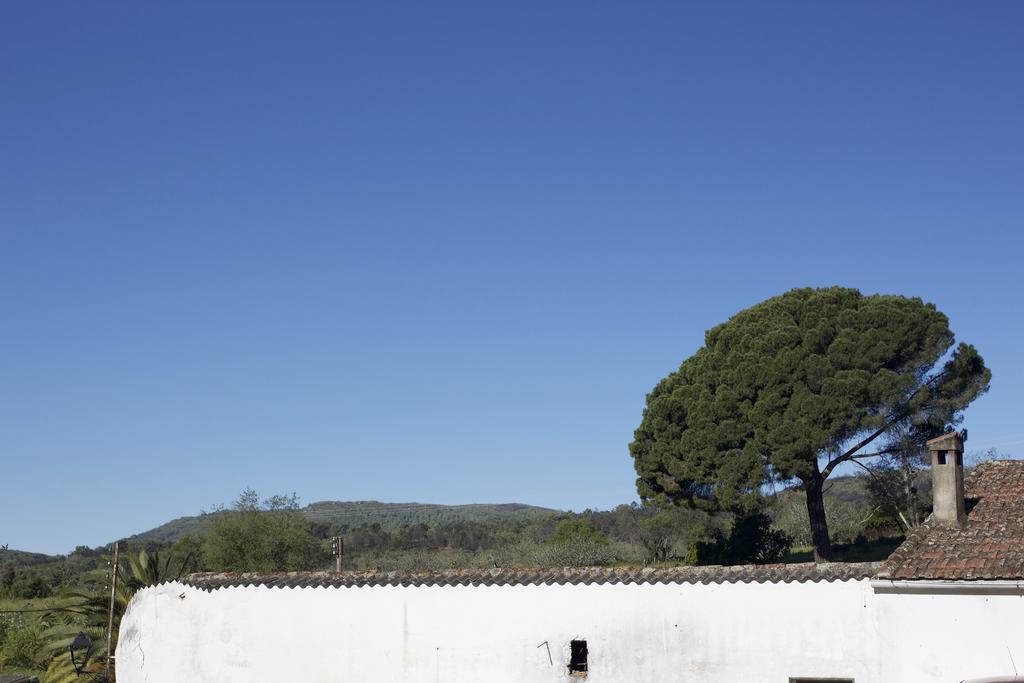 La Grulla Dorada Country house