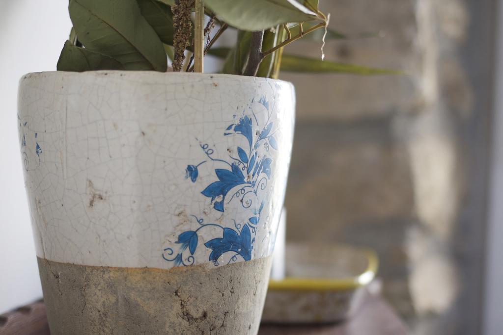 La Grulla Dorada Country house *
