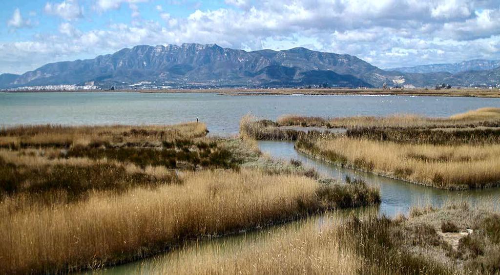 Apartamento Mi En El Delta Del Ebro