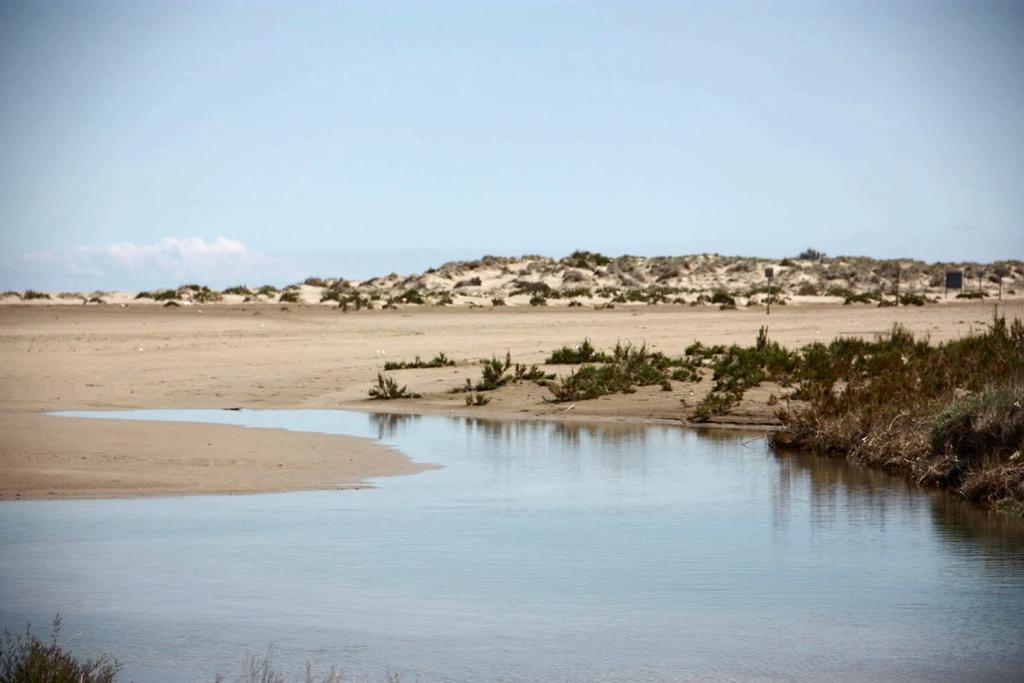 Apartamento Mi En El Delta Del Ebro Deltebre