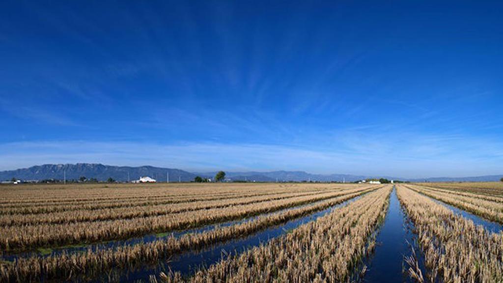 Apartamento Mi En El Delta Del Ebro