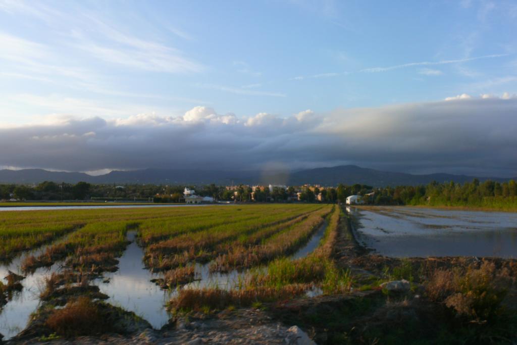 Mi En El Delta Del Ebro Apartamento