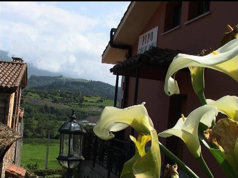 Casa Rural Casa Pipo Colunga