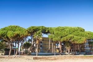 Hotel Avenida Diputacion  72 Cambrils