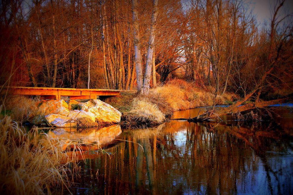 Casa rural Cal Frances