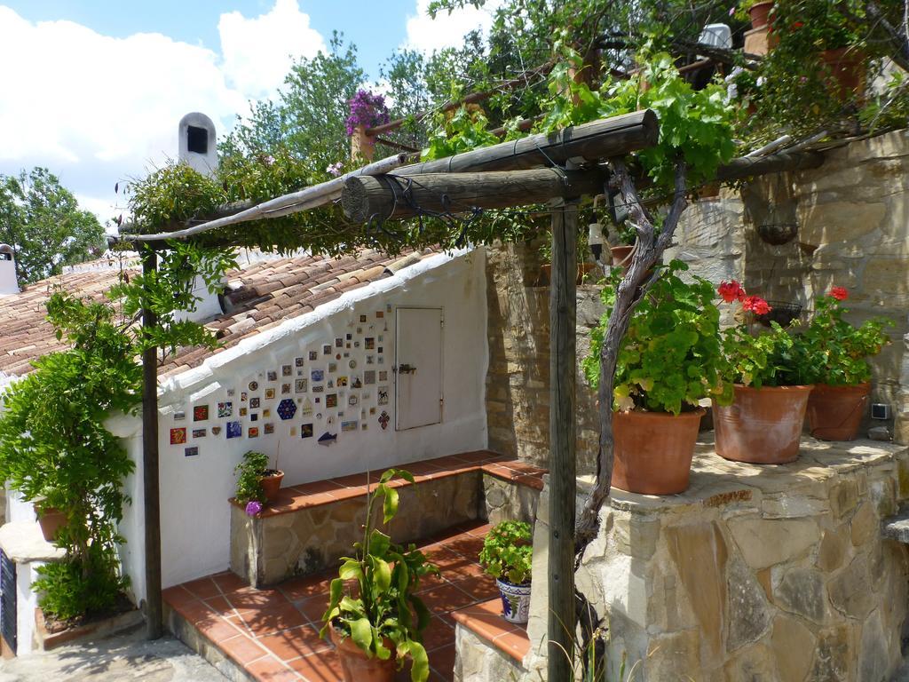 Sábila * Valle de Abdalajís