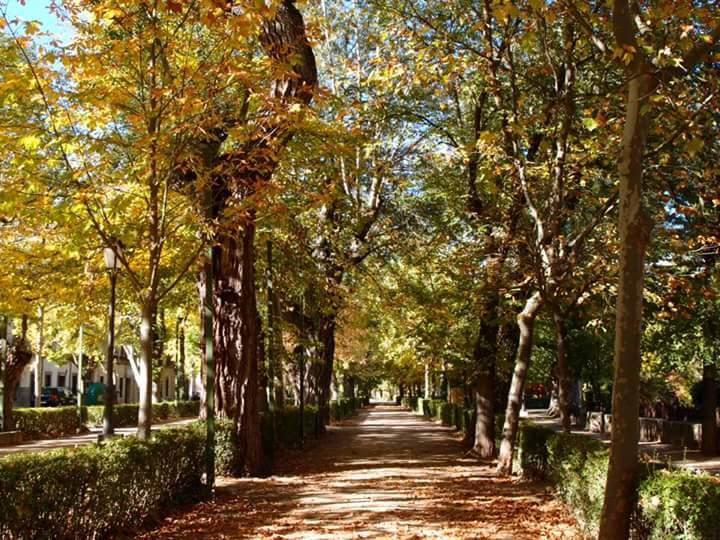Сasa de vacaciones La Besana De *