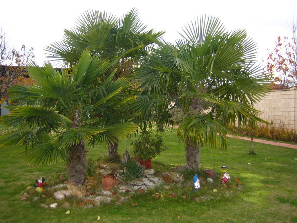 Casa Constanza
