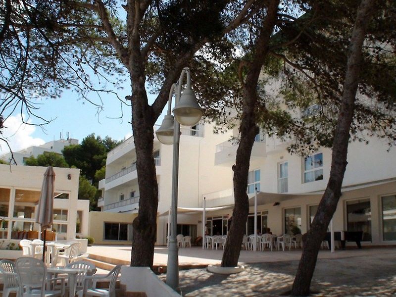 El Pinar Cala Llonga (Ibiza)