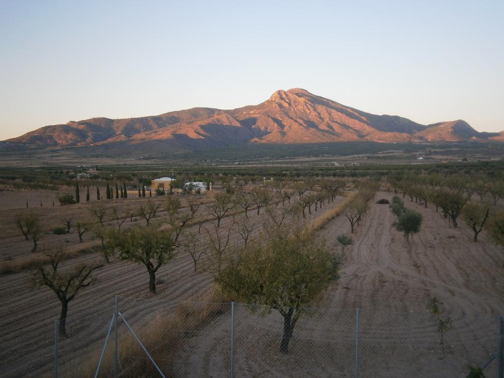 Casa Alegria * Las Encebras