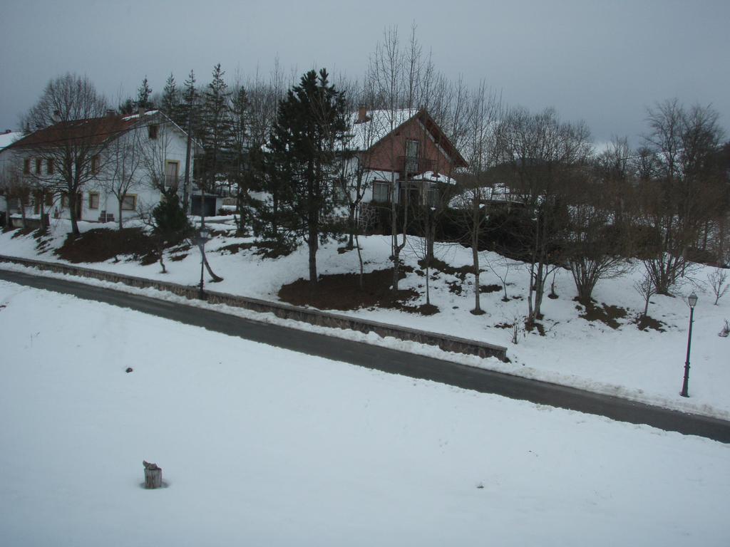 Irugoienea
