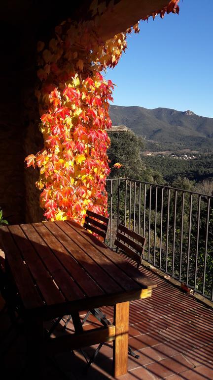 Country house Mas Roquet *