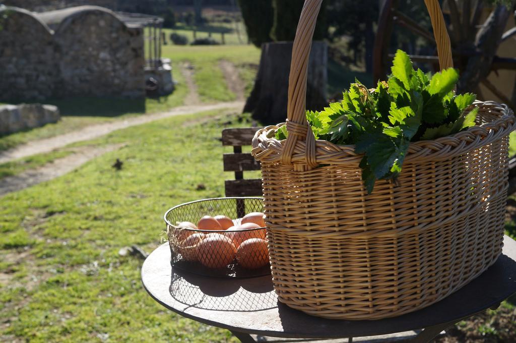 Country house Mas Roquet