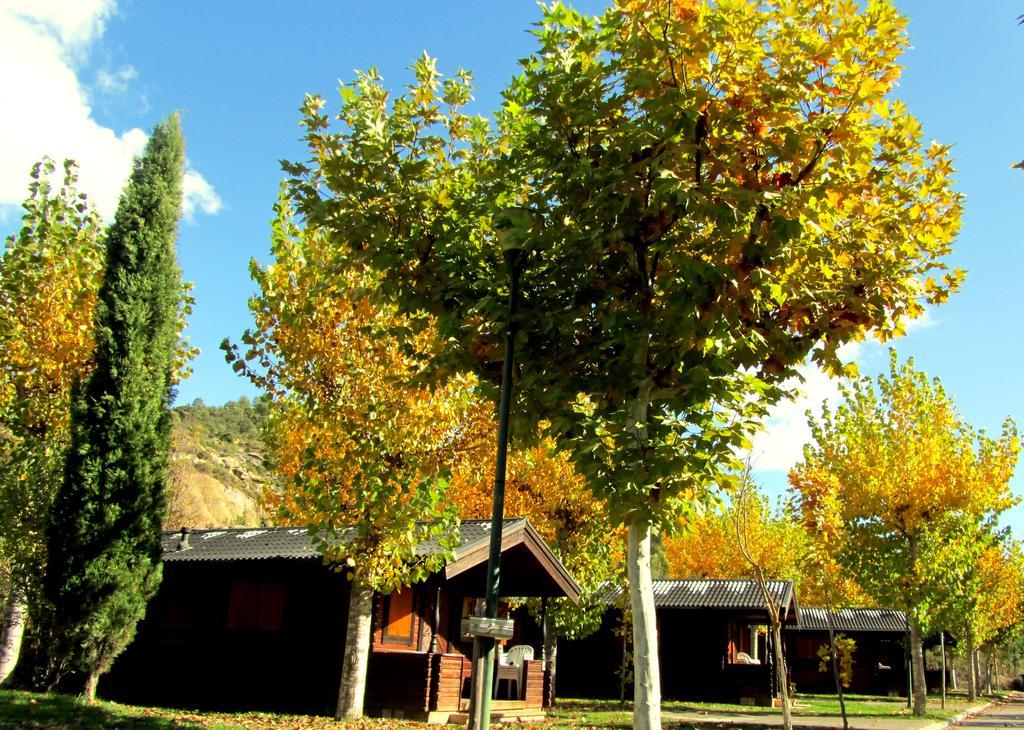 Camping&bungalows