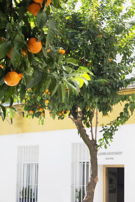 Laprin * Córdoba