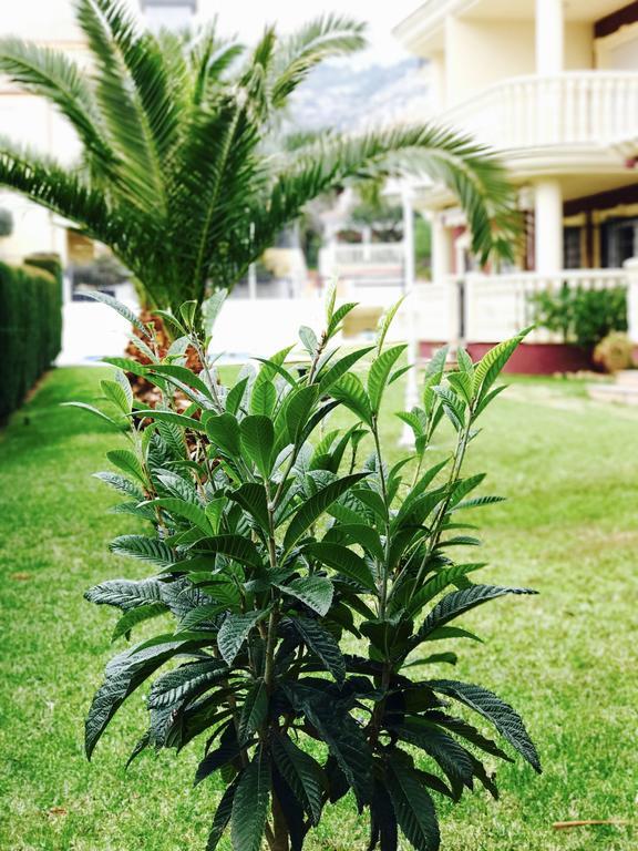 Apartamento Madeira Playa Alcossebre